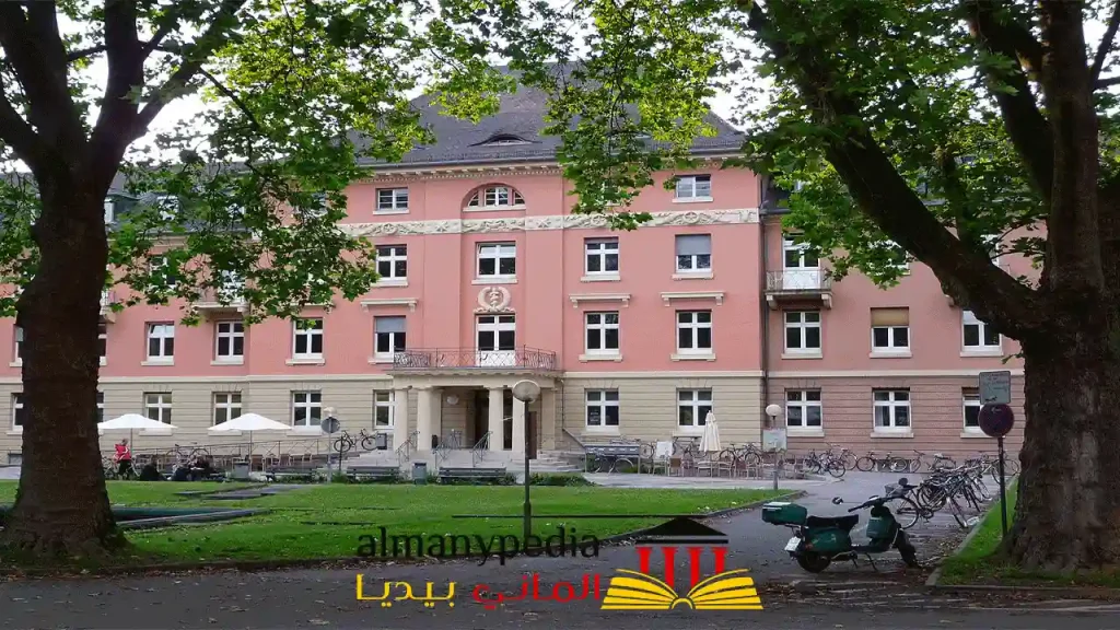 جامعة Heidelberg