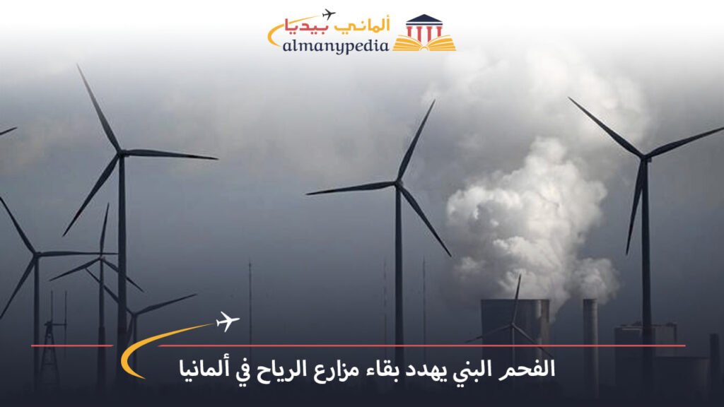 اخبار-المانيا-بالعربي---الفحم-البني-يهدد-بقاء-مزارع-الرياح-في-ألمانيا---ألماني-بيديا