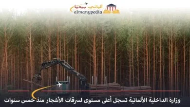 اخبار-المانيا-بالعربي---وزارة-الداخلية-الألمانية-تسجل-أعلى-مستوى-لسرقات-الأشجار-منذ-خمس-سنوات---ألماني-بيديا