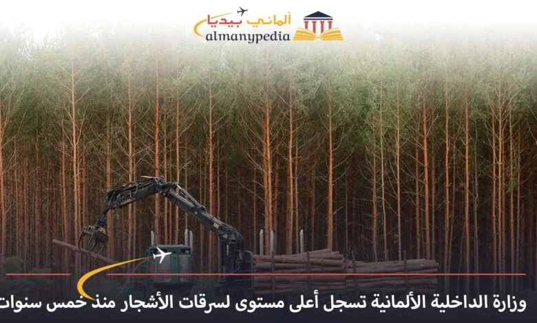 اخبار-المانيا-بالعربي---وزارة-الداخلية-الألمانية-تسجل-أعلى-مستوى-لسرقات-الأشجار-منذ-خمس-سنوات---ألماني-بيديا