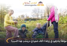 اخبار-المانيا-بالعربي---170-مواطنًا-يشاركون-في-زراعة-5-آلاف-شجرة-في-دريسدن-لهذا-السبب!---ألماني-بيديا