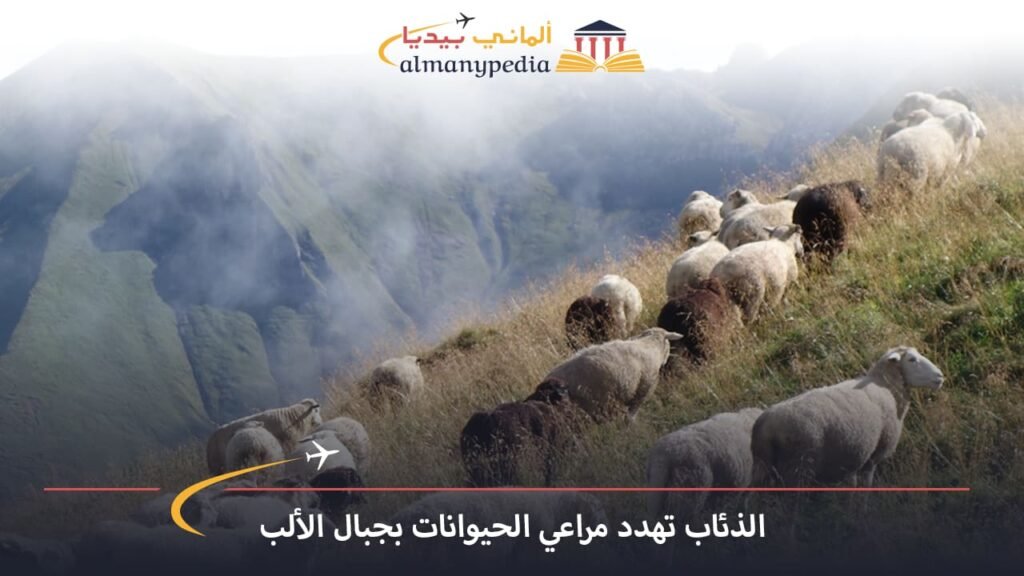 اخبار-المانيا-بالعربي---الذئاب-تهدد-مراعي-الحيوانات-بجبال-الألب---ألماني-بيديا