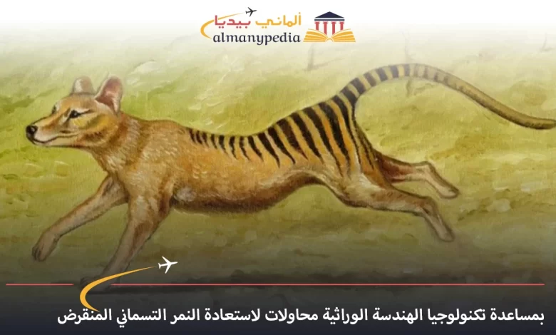 اخبار-المانيا-بالعربي---بمساعدة-تكنولوجيا-الهندسة-الوراثية-محاولات-لاستعادة-النمر-التسماني-المنقرض---ألماني-بيديا
