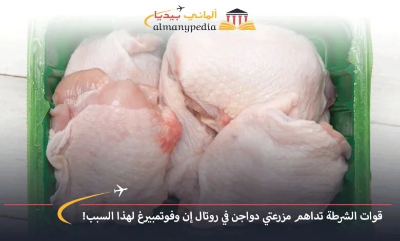 اخبار-المانيا-بالعربي---قوات-الشرطة-تداهم-مزرعتي-دواجن-في-روتال-إن-وفوتمبيرغ-لهذا-السبب!---ألماني-بيديا