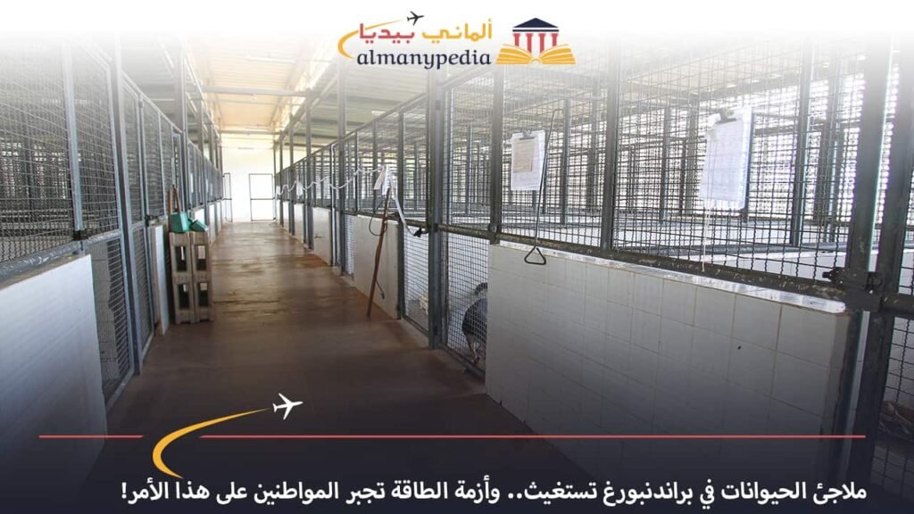 اخبار-المانيا-بالعربي---ملاجئ-الحيوانات-في-براندنبورغ-تستغيث-وأزمة-الطاقة-تجبر-المواطنين-على-هذا-الأمر---ألماني-بيديا