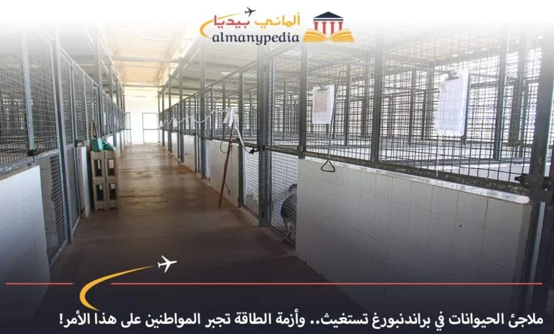 اخبار-المانيا-بالعربي---ملاجئ-الحيوانات-في-براندنبورغ-تستغيث-وأزمة-الطاقة-تجبر-المواطنين-على-هذا-الأمر---ألماني-بيديا