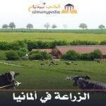 الزراعة في ألمانيا