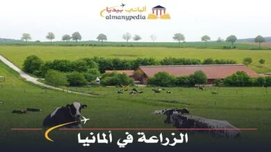 الزراعة في ألمانيا