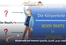 Körperteile-auf-deutsch