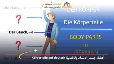 Körperteile-auf-deutsch