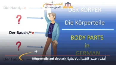 Körperteile-auf-deutsch