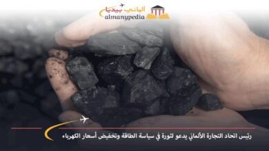 رئيس-اتحاد-غرف-التجارة-والصناعة-الألمانية،-بيتر-أدريان-يطالب-بمراجعة-سياسة-الطاقة