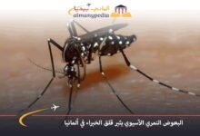 البعوض النمري الآسيوي يثير قلق الخبراء في ألمانيا 7 البعوض-النمري-الآسيوي-يثير-قلق-الخبراء-في-ألمانيا