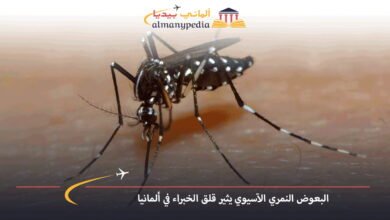 البعوض-النمري-الآسيوي-يثير-قلق-الخبراء-في-ألمانيا