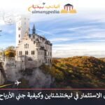الاستثمار في ليختنشتاين