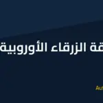 البطاقة الزرقاء في ألمانيا