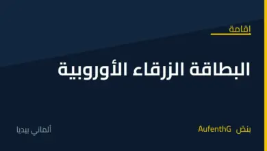 البطاقة الزرقاء الأوروبية في ألمانيا Blaue Karte EU: شرط الراتب والإقامة الدائمة بعد 21 شهرًا