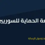 syria widerruf